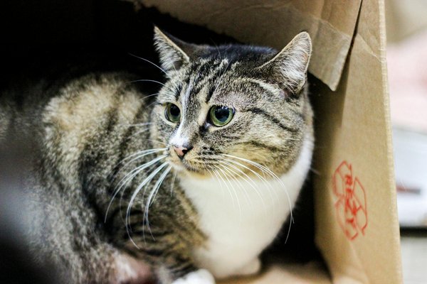 How to make a small UK bedroom feel larger?